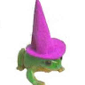 Meet your Posher, Carnyce